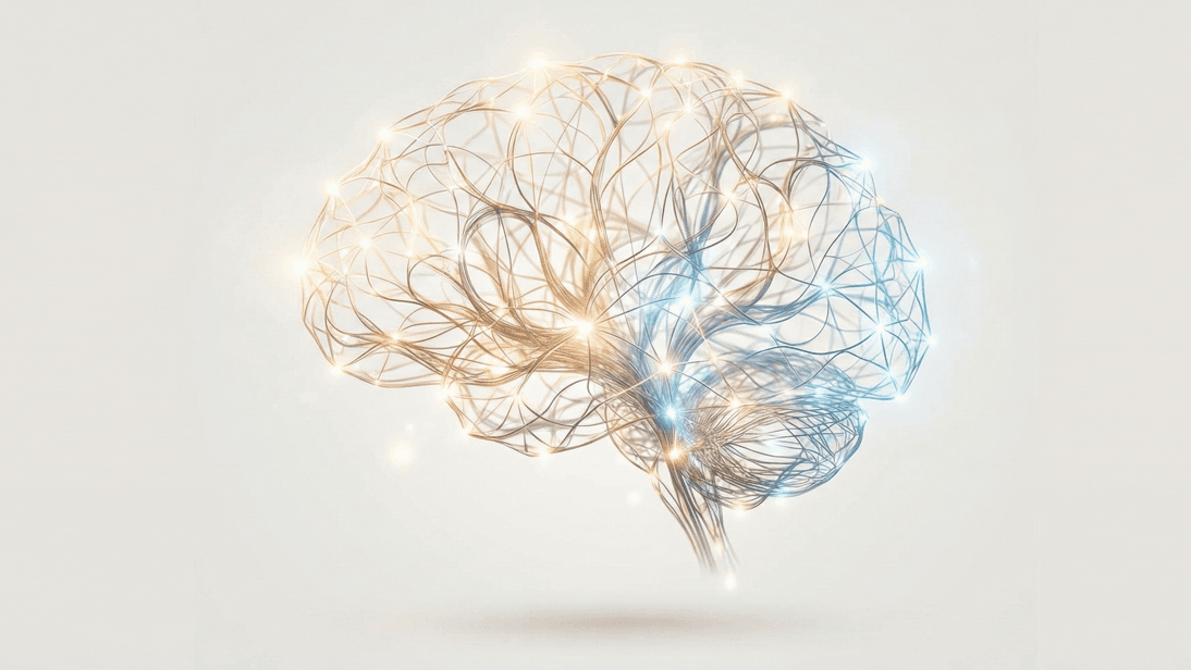 Accompagnement des hauts potentiels en intelligence émotionnelle